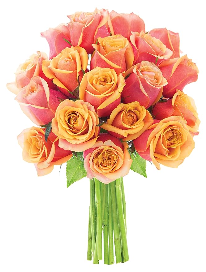 KaBloom - Bouquet of 18 Fresh Orange Roses (Farm-Fresh, Long-Stem) - Fresh Flowers for Birthday, Valentine's & Mother's Day