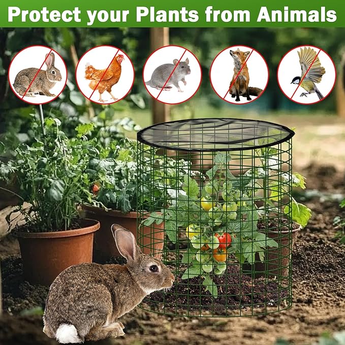 Plant Protector from Animals with Detachable Covers - 4 Pack 16”x 16" Wire Cage Cloches with Ground Stakes and Tools for Protecting Vegetable, Flower, Seedling