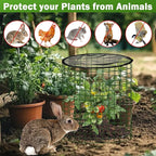 Plant Protector from Animals with Detachable Covers - 4 Pack 16”x 16" Wire Cage Cloches with Ground Stakes and Tools for Protecting Vegetable, Flower, Seedling