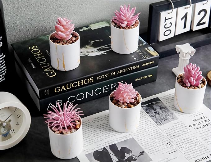 Der Rose 6 Pack Fake Plants Succulents Plants Artificial for Bathroom Home Office Desk Accessories for Women