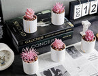 Der Rose 6 Pack Fake Plants Succulents Plants Artificial for Bathroom Home Office Desk Accessories for Women
