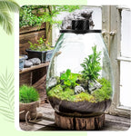 Maxdot Glass Plant Terrarium Kit with Light for Succulent, Moss, Miniature Gardening Landscape, Betta Fish Tank, Office Home Decoration, Plant Lovers Gifts (6.9 x 7.8 Inch)