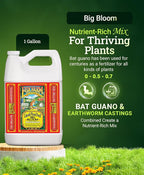 Fox Farm Big Bloom Liquid Plant Food - Organic Bloom Fertilizer for Flowering & Fruiting Plants, Contains Earthworm Castings & Bat Guano - Supports All Stages of Plant Growth - 0-0.5-0.7 NPK, 1Gallon