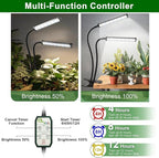 GooingTop Grow Light 100W 6000K, Super Bright White Desktop Clip Plant Lamp for Seedlings Succulents Seeds Starting Indoor Plants Growing,Bendable Gooseneck & Timer 4 8 12 H