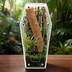 Jumping Spider Enclosure, Magnetic Door Acrylic Terrarium with Feeding Dish & Landscape Stick for Tarantula Snails Insects Reptiles Plants, Coffin Shape Tabletop Decor 4" x 4" x 8"