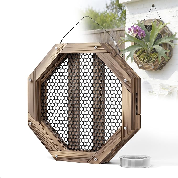 12.8 Inches Staghorn Fern Mounting Kit Orchid Mounting Wood Hanging Plant Frame Wall Planter Plant Holder Basket for Orchids Staghorn Fern Tropical Plants (325x325x60mm)