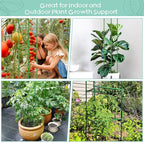 Legigo 2-Pack Tomato Cage for Garden Plant Support- Up to 63inch Garden Stakes Tomato Cage, Tomato Trellis for Potted Plants, Tomato Cages Plant Stakes for Climbing Vegetables Plants Flowers