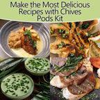 Seed Pods for All Hydroponics Growing Systems, 12 Pods Herb Kit (Chives)