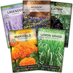 Sow Right Seeds - Insect & Pest Repellent Seed Collection for Planting - Lavender, Catnip, Marigold, Hyssop & Lemon Grass - 5 Packets with Instructions for Home Garden - Natural Pest Solution