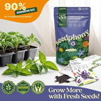 Seedphony 35 Medicinal & Tea Herb Seeds Variety Pack - 16,285+ Non-GMO Heirloom Herbs Seeds for Planting Indoor & Outdoor: Lavender, Rosemary, Echinacea, Mint, Catnip, Basil - Gardening Seed Packets