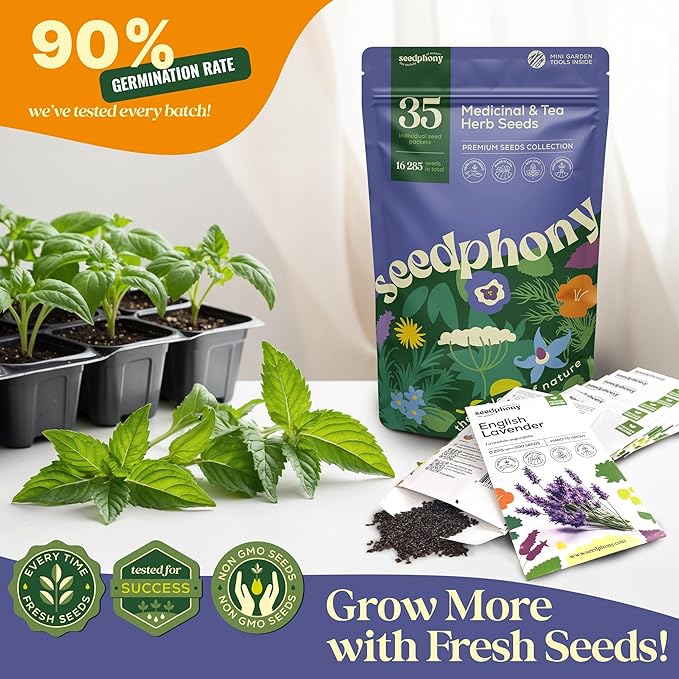 Seedphony 35 Medicinal & Tea Herb Seeds Variety Pack - 16,285+ Non-GMO Heirloom Herbs Seeds for Planting Indoor & Outdoor: Lavender, Rosemary, Echinacea, Mint, Catnip, Basil - Gardening Seed Packets