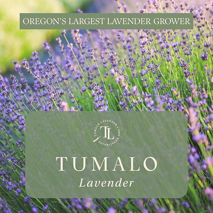 Victoria's Lavender Tumalo Lavender French Lavandin Lavender Plant, Live Edible Plants, Organically Grown, Non-GMO, Aromatic Perennial Herbs