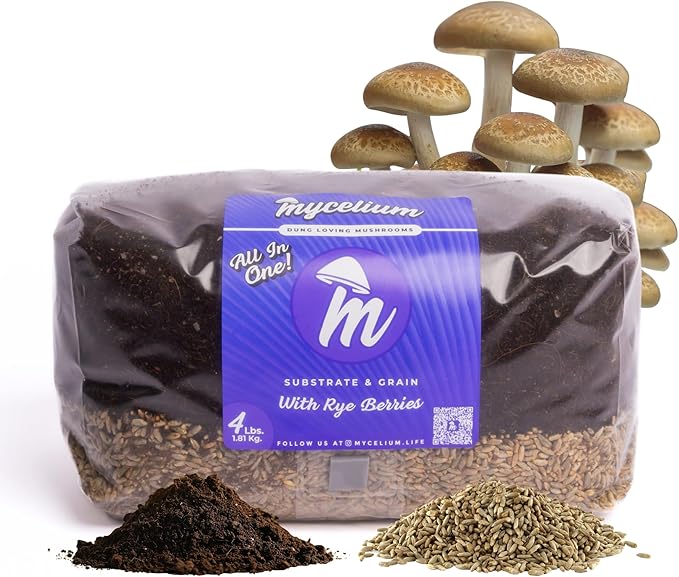 Mycelium 4LB Mushroom Grow Kit | All-in-One CVG Substrate & Rye Berries Grain Bag | Pre-Sterilized with Injection Port & Filter Patch | Grow Dung-Loving Mushrooms with Ease – Just Add Liquid Culture