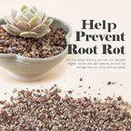 Bonsai Jack Succulent, Cactus and Bonsai Soil - Jacks Gritty Mix - 2 Gallons – Fast Draining – Fight Root Rot – Optimized pH