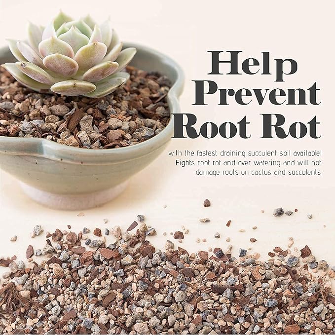 Bonsai Jack Succulent, Cactus and Bonsai Soil - Jacks Gritty Mix - 1 Gallon – Fast Draining – Fight Root Rot – Optimized pH …