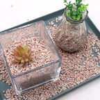 Coarse Sand. Pink Color. 1/8 Inch 10 lbs. for Potting Soil, Succulents, Pots, Plants, Gardening, Indoor, Crafting, Vase Fillers, Landscaping (X-Mini, COARSE Sand - Pink Crystal, 10)