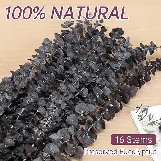 Tavkite 16 Pcs Dried Eucalyptus Stems, 17'' Natural Fresh Eucalyptus Leaves Branches Hanging for Shower, Preserved Real Purple Plant Live for Home SPA Wall Bathroom Wedding Party Vase Decor