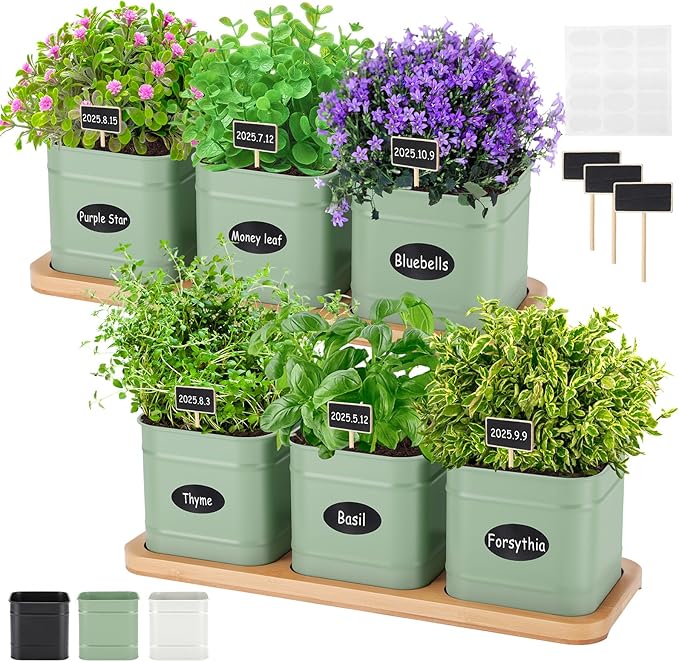 LemonRoad 6 Pcs Indoor Herb Planter Window Herb Pots for Kitchen with Drainage Hole and Bamboo Tray Farmhouse Metal Garden Planter Pot with DIY Label Mom Plant Gift(Sage Green,Square)