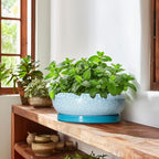 Bonsai Pots 10 Inch - Shallow Ceramic Planters for Indoor Outdoor, Succulent Pots with Drainage Hole and Saucer, Round Planter Bowl, Succulent Planter, Garden Decor, Housewarming Gifts, Blue