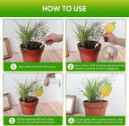 DDMY Plant Watering Globes, 270ML Large Capacity Self Watering Planter Insert for Indoor & Outdoor Plants Self Plant Watering Devices for Plant Lovers, Glass Watering Globes for Everyday Use (3 Pack)