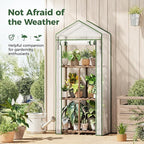 Bamworld 23 x 17 x 54-Inch Mini Greenhouses for Outdoors Portable Green House with PE Cover Sturdy Eucalyptus Wood Frame Small Greenhouse for Winter Plant Frost Protection Plant Garden Hot House