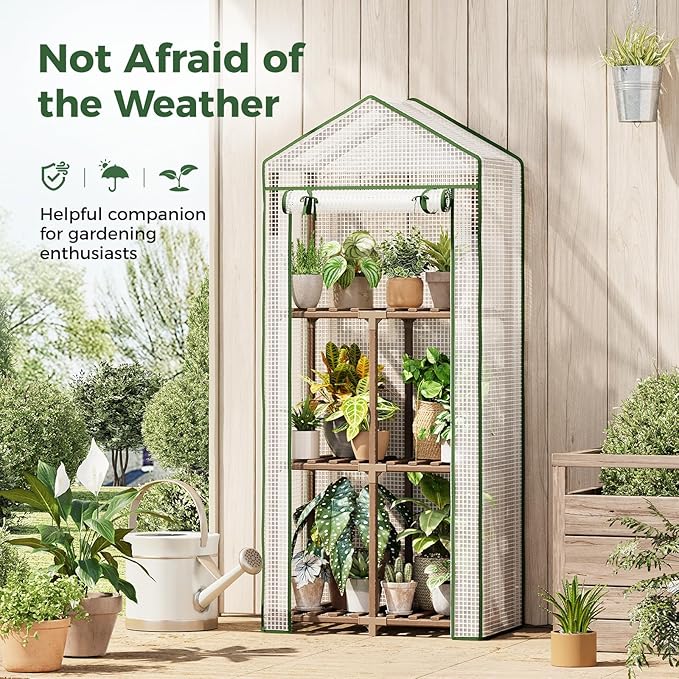 Bamworld 23 x 17 x 54-Inch Mini Greenhouses for Outdoors Portable Green House with PE Cover Sturdy Eucalyptus Wood Frame Small Greenhouse for Winter Plant Frost Protection Plant Garden Hot House
