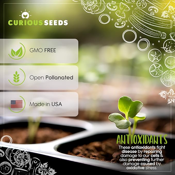 Exotic Vegetable Seeds Variety Pack - 6 Curious Garden Varieties to Grow, Non GMO, Open Pollinated, Heirloom, and Untreated for Planting, Unique Gardening Gift for Indoors and Outdoors