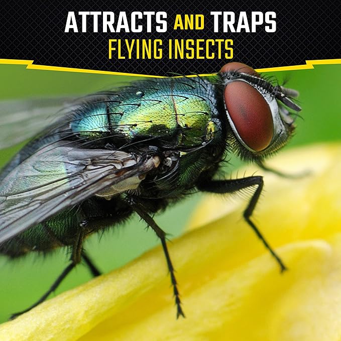 Black Flag Fly Stick, Trap Houseflies and Flying Insects, Pack of 6