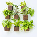 LaLaGreen Wood Planter Boxes for Plants (4x4 Inch, 8 Pack) Small Square Wall Mounted Planters for Indoor Plant, Herb Wooden Box Hanging Flower Pot Plant Holder Outdoor Fence Vertical Garden Home Decor