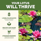 Lotus Fertilizer – Fish Safe Liquid Plant Food for Bigger Lotus Blooms & Stronger Roots 8 oz