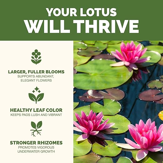 Lotus Fertilizer – Fish Safe Liquid Plant Food for Bigger Lotus Blooms & Stronger Roots 32 oz