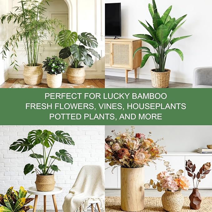 16 Pack Upgraded Plant Stem Supports, Nearly Invisible Plant Support for Indoor Plants, 4 Sizes Stem Holders for Climbing Houseplants, Reusable Plant Stabilizer, Indoor Plants Accessories