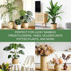 16 Pack Upgraded Plant Stem Supports, Nearly Invisible Plant Support for Indoor Plants, 4 Sizes Stem Holders for Climbing Houseplants, Reusable Plant Stabilizer, Indoor Plants Accessories