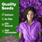 HOME GROWN Aubrieta Rock Cress Purple, Flowering Ground Cover Seed Pack, Non GMO Perennial Cress Seeds for Planting Outdoor Lawn Gardens 300 Aubrieta deltoidea Flower Seeds