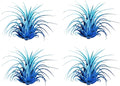 Air Plants - Tillandsia Ionantha - Organically Enhanced Color - Live Arrival Guaranteed - House Plants for Home Decor & Gift (2 Tone 4pk) (2 Tone 4Pk Coastal Hues)