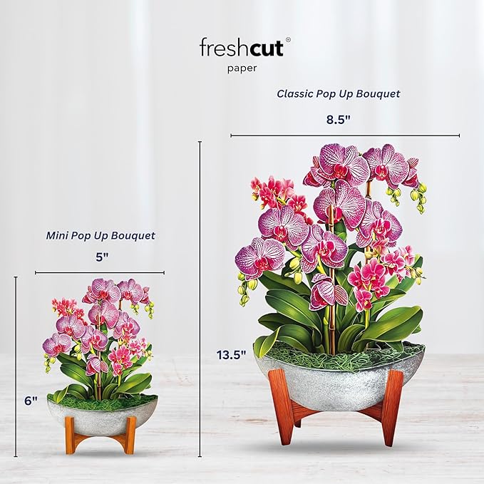 Freshcut Paper Pop Up Cards, Mini Orchid Oasis, 6 Inch Mini Sized Forever Flower Bouquet 3D Popup Greeting Cards, Birthday Card, Get Well Gifts, Blank Notecard & Envelope