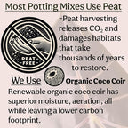 Craft Houseplant Potting Mix, Elite House Plant Soil, Chunky, Well Draining Potting Soil for Indoor Plants, Tropical Plants & Potted Plants, Sustainable & Peat Free, Less Prone to Gnats 4qt