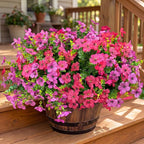 Artificial Flowers for Outdoor Fake Plants for Spring Decoration,Faux Eucalyptus Flowers for Planter UV Resistant Lifelike for Home Porch Garden (Red/Light Purple)