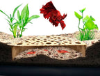 Shrimp Breeding Protector | Shrimp Breeding Cave Aquarium Tunnel | CTWPets (Light Brown)