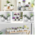 5 Pack 5 inch Self-Watering Pots, African Violets Planter with Drainage Holes and Reservoir, White Plastic Planter for Indoor Outdoor Plants Flowers and Houseplants White, 5 inch 5 pcs