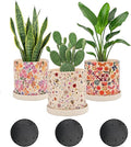 3Pcs Floral Ceramic Planters with Drainage Holes & Saucers, Modern Indoor/Outdoor Pots for Succulent, Cactus, Snake Plant, Home & Garden Decor