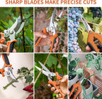 3 Pack Garden Pruning Shears, Stainless Steel Shears, Gardening Shears Scissors Pruning Shears for Gardening Tools (3PCS Orange and Black)