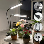 GooingTop Grow Light 100W 6000K, Super Bright White Desktop Clip Plant Lamp for Seedlings Succulents Seeds Starting Indoor Plants Growing,Bendable Gooseneck & Timer 4 8 12 H