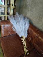 Premium Faux Grey Pampas Grass – 43.3" Tall Fluffy Neutral Decor, 8pcs 18-Branch One-Piece Stems No Assembly, Luxury Silk-Feel Feather Flowers for Modern Minimalist Scandinavian Decor,8 Stems110cm