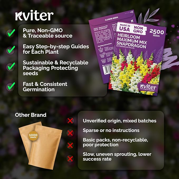 KVITER 2500 Maximum Mix Snapdragon Seeds (Antirrhinum Majus) - Snapdragon, Tall Colorful Dragon Flower, Non GMO Seed Packets - Flower Seeds for Outdoor Garden, Borders & Containers, Cut Flowers