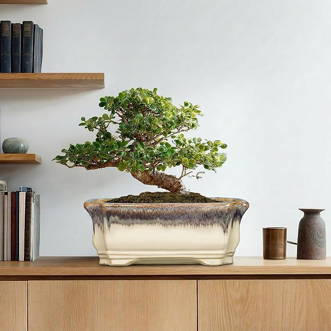 13.7 Inch Bonsai Planter - Ceramic Bonsai Tree Pots for Indoor Outdoor Plants, Succulent Pots with Drainage Hole, Large Plant Pot, Patio Decor, Gifts for Gardeners, Rectangular Beige-Brown