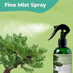 Bonsai Fertilizer Spray by Perfect Plants | Liquid nutrients for Your Small Tree Garden | Balanced Plant Food Mist Rich in micronutrients (8 fl oz)