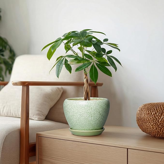 Ceramic Flower Pots - 6 Inch Plant Pot with Drainage Hole and Saucer, Modern Plant Pots for Indoor Succulent Plants, Round Indoor Planter, House Decor, Gardening Gifts, Crackle Light Green