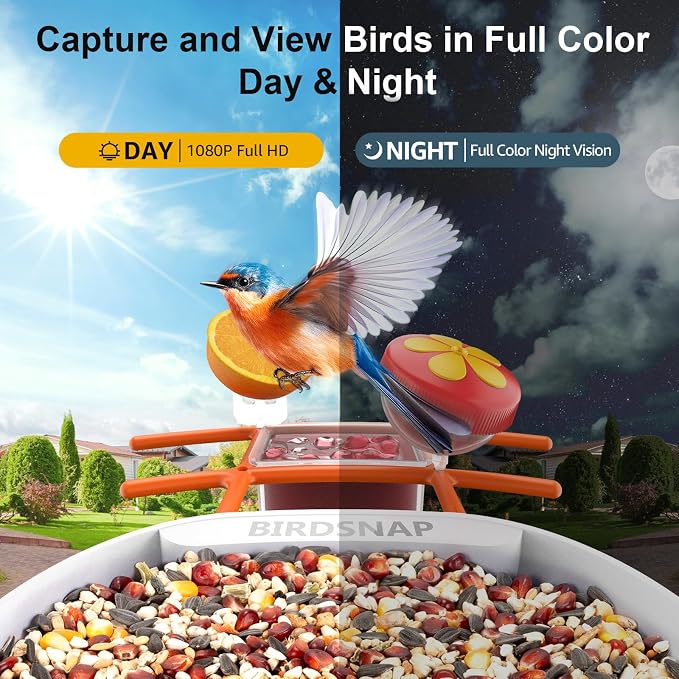 birdsnap® PAV-Bird Feeder with Camera,2K HD with 64GB Card, AI Identify Smart Bird House Cam Solar Panel,Live Stream,Motion Detection,Auto Record Video for Backyard Outdoors,Ideal Gift for Bird Lover