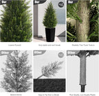 4FT Tall Artificial Cedar Topiary Tree with Compact Pyramidal Shape, Realistic Faux Cypress in Square Black Pot with Fillable Water Bag, Outdoor Evergreen for Front Porch Garden Home Decor